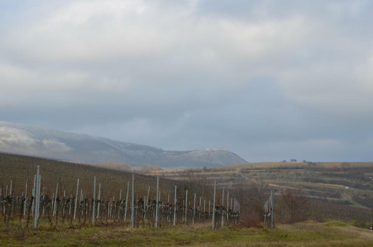 Penzion U Žabáka Mikulov Kültér fotó