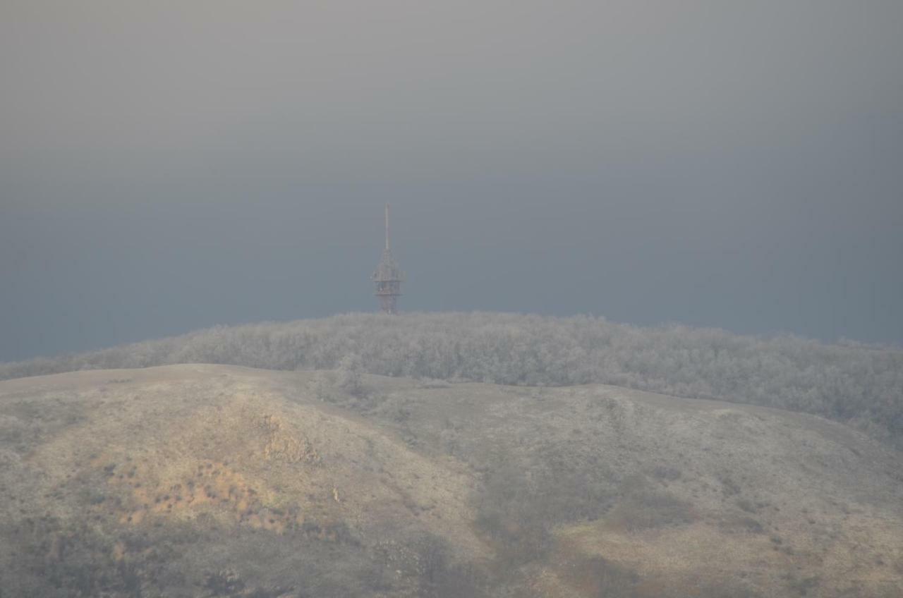 Penzion U Žabáka Mikulov Kültér fotó
